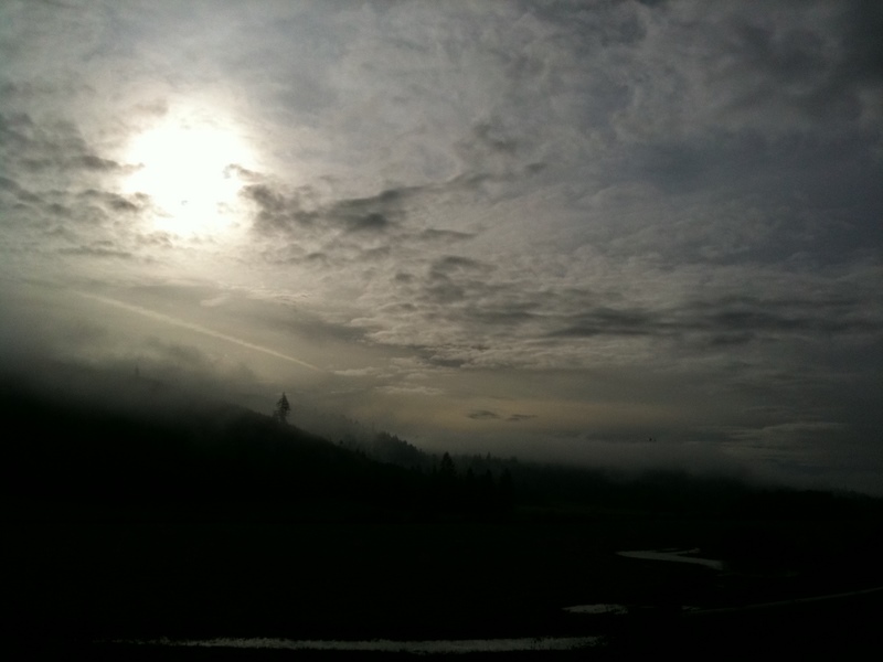 [IMG_0939.JPG]