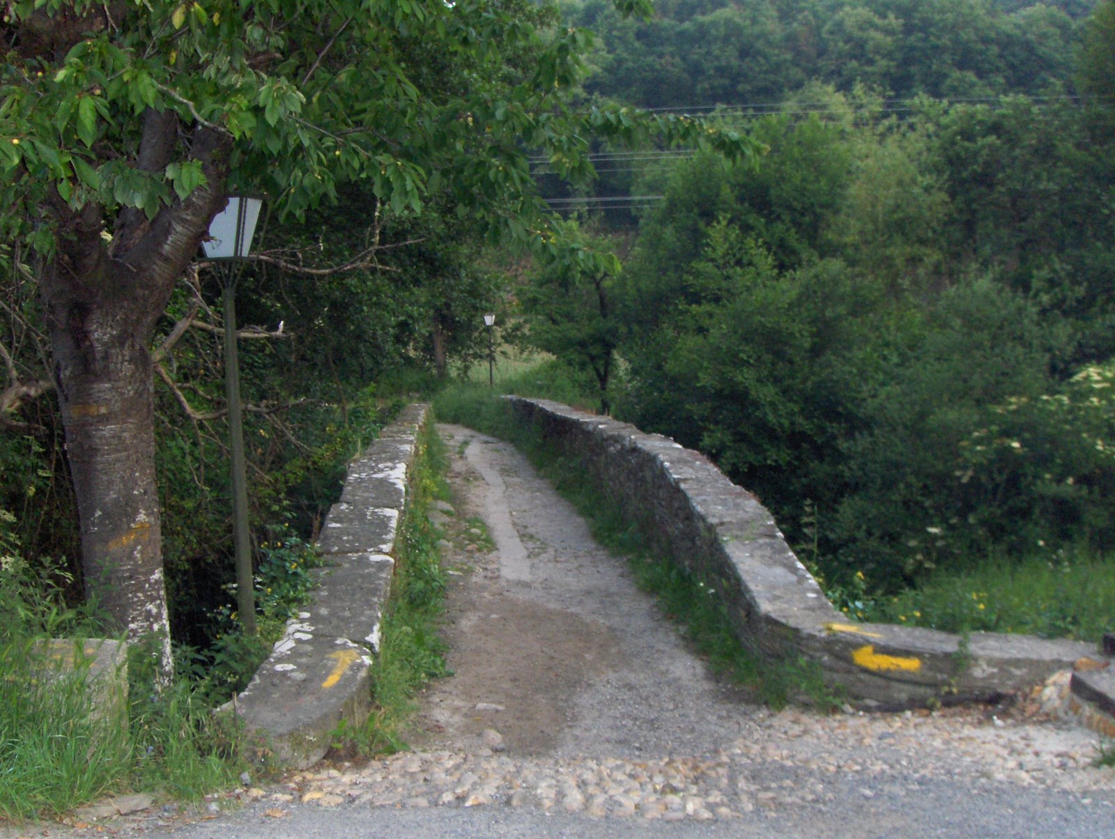 [HPIM1412.JPG]