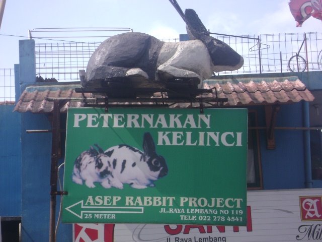 [DSC00523.JPG]