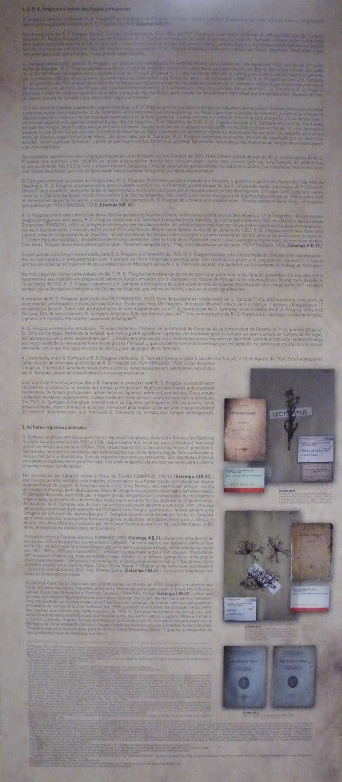 [DSCF7664.JPG]
