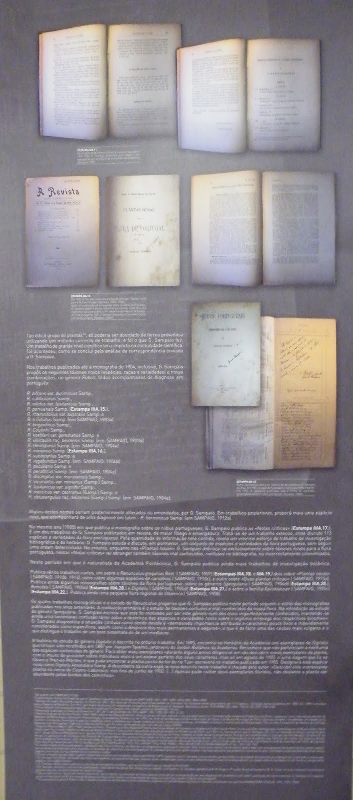 [DSCF7658.JPG]