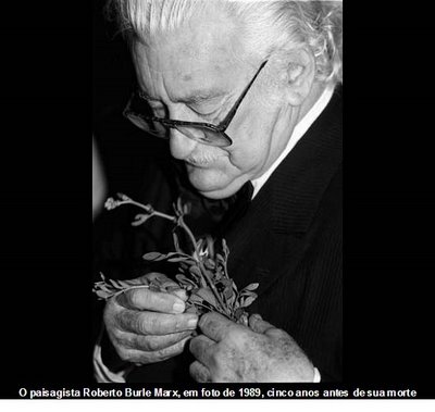 [burlemarx+(30).jpg]