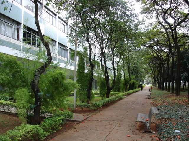 [06.jpg]