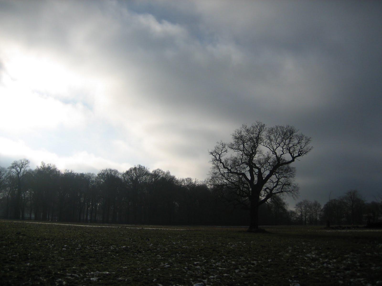 [IMG_0398.JPG]