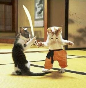 http://2.bp.blogspot.com/_fGMw_NftHpg/SmNRN7SJJHI/AAAAAAAABNA/LLQ_hsMcig4/s400/cats+fight.bmp