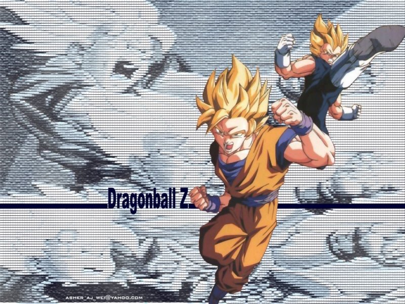 [goku-vegeta.jpg]