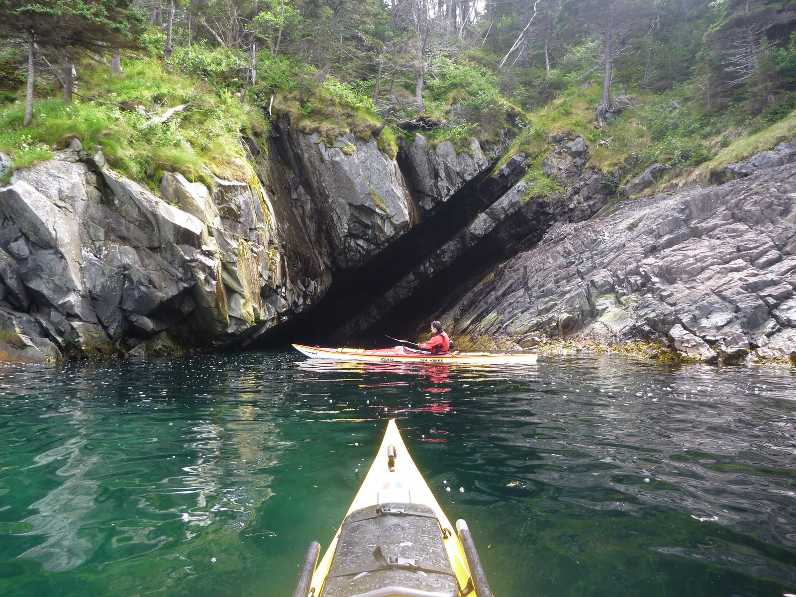 Newfoundland Sea Kayaking Bay Bulls