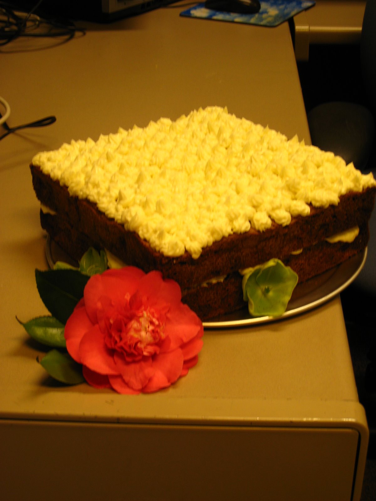 [Lori+Birthday+cake+003.jpg]