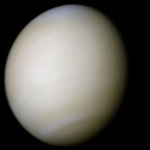 [300px-Venus-real[1].jpg]