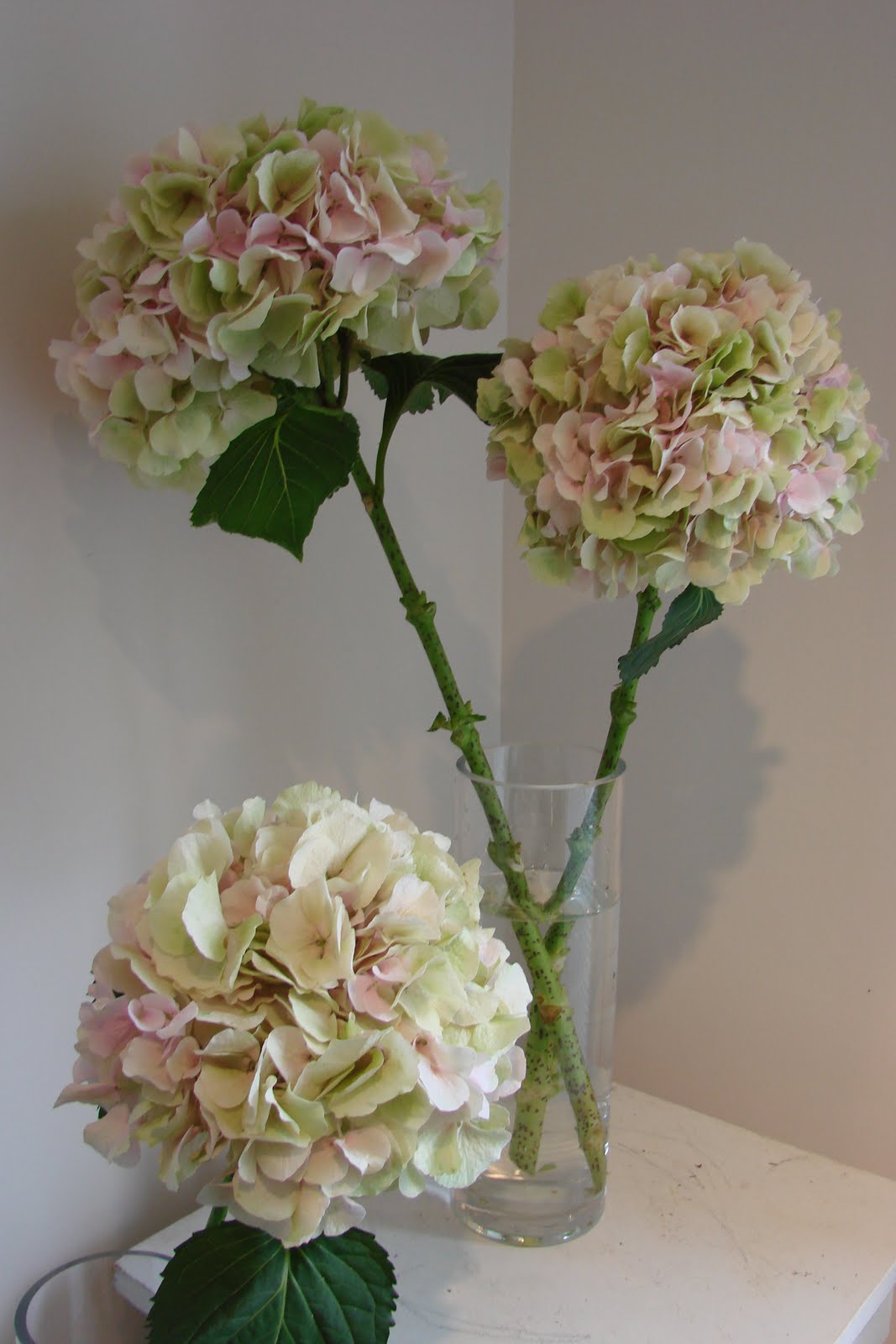 [DSC05035.JPG]
