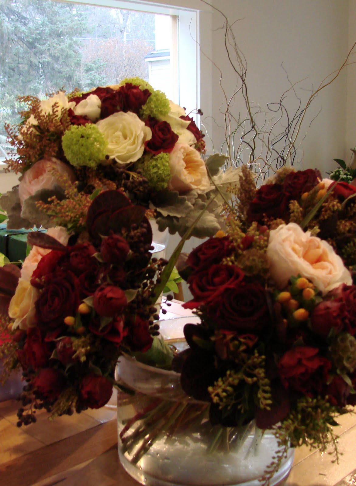 [DSC05494_edited-1.JPG]