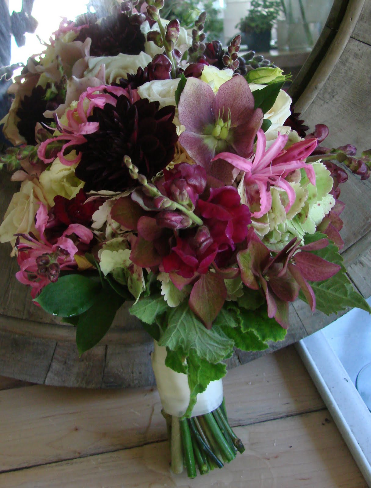 [DSC04865_edited-1.JPG]