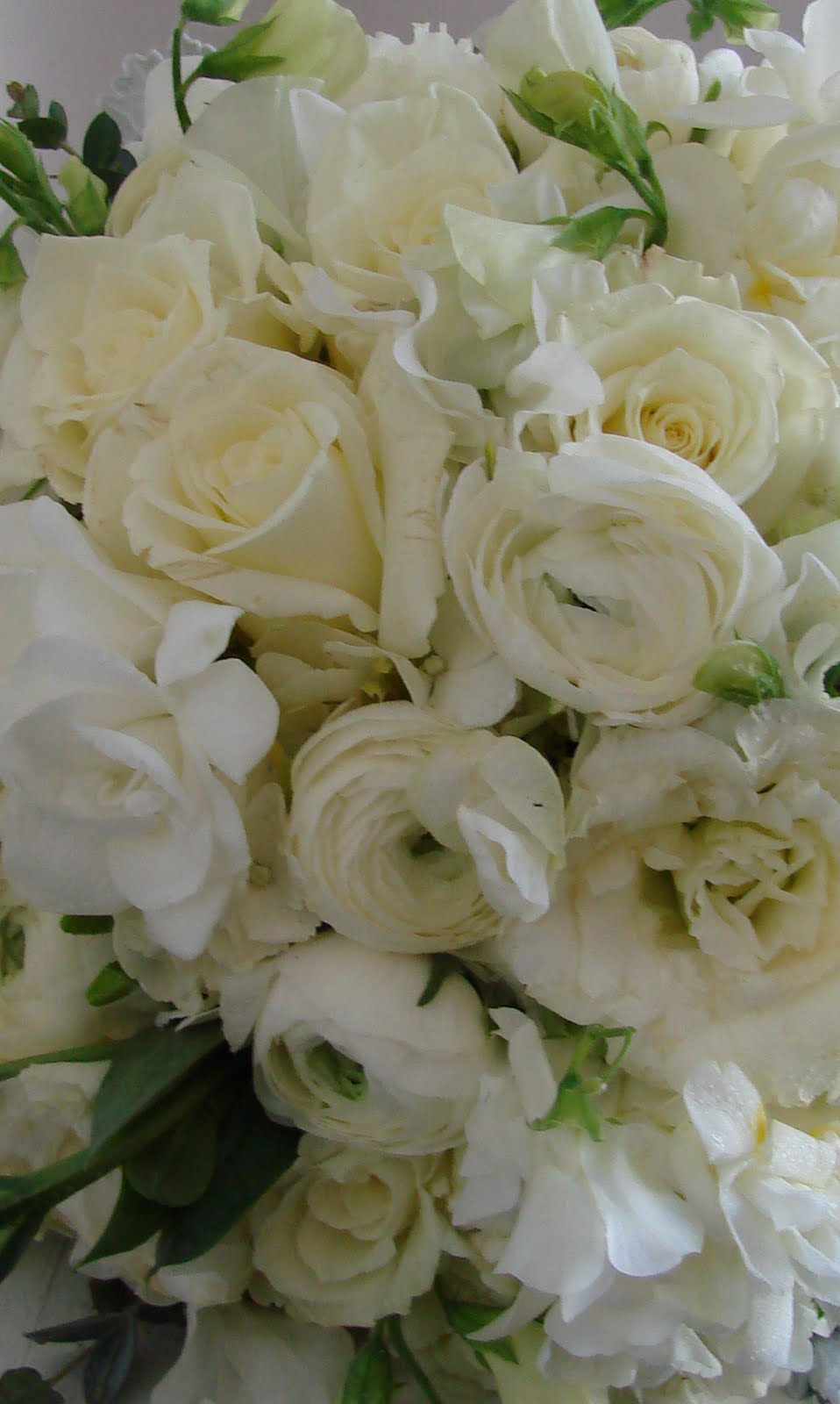 [DSC05779_edited-1.JPG]