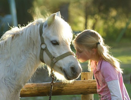 [Pony+kisses.jpg]