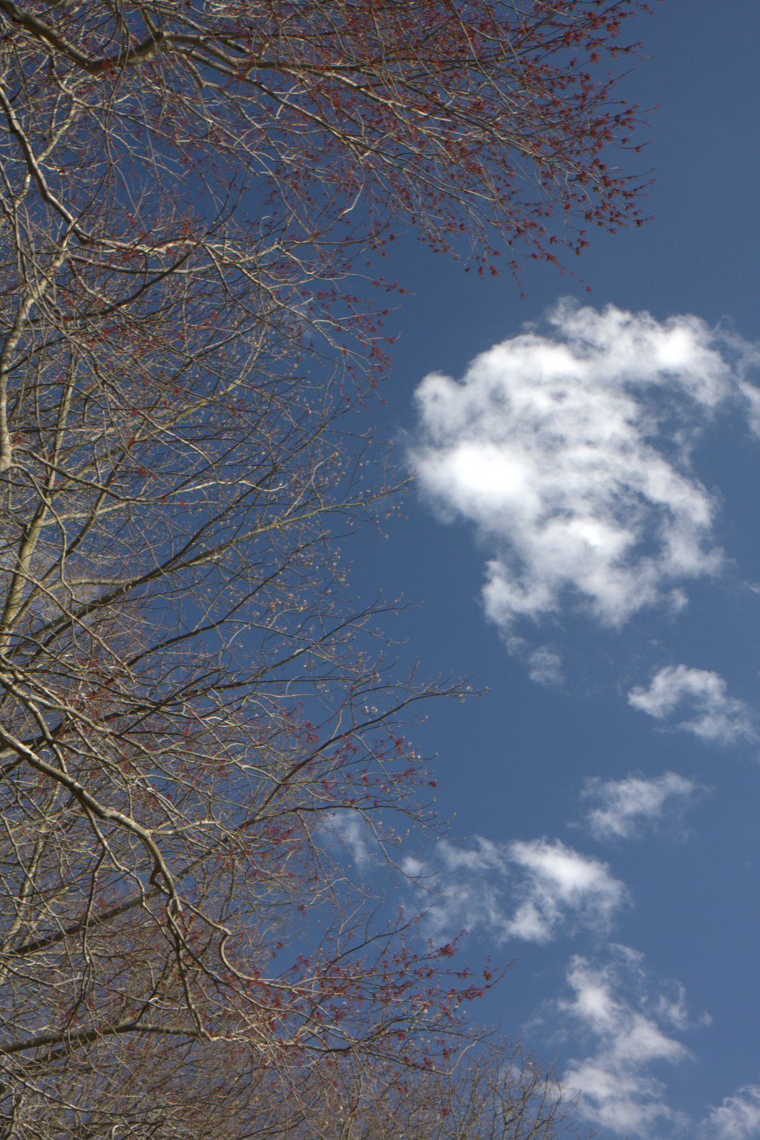 [IMG_6321.jpg]
