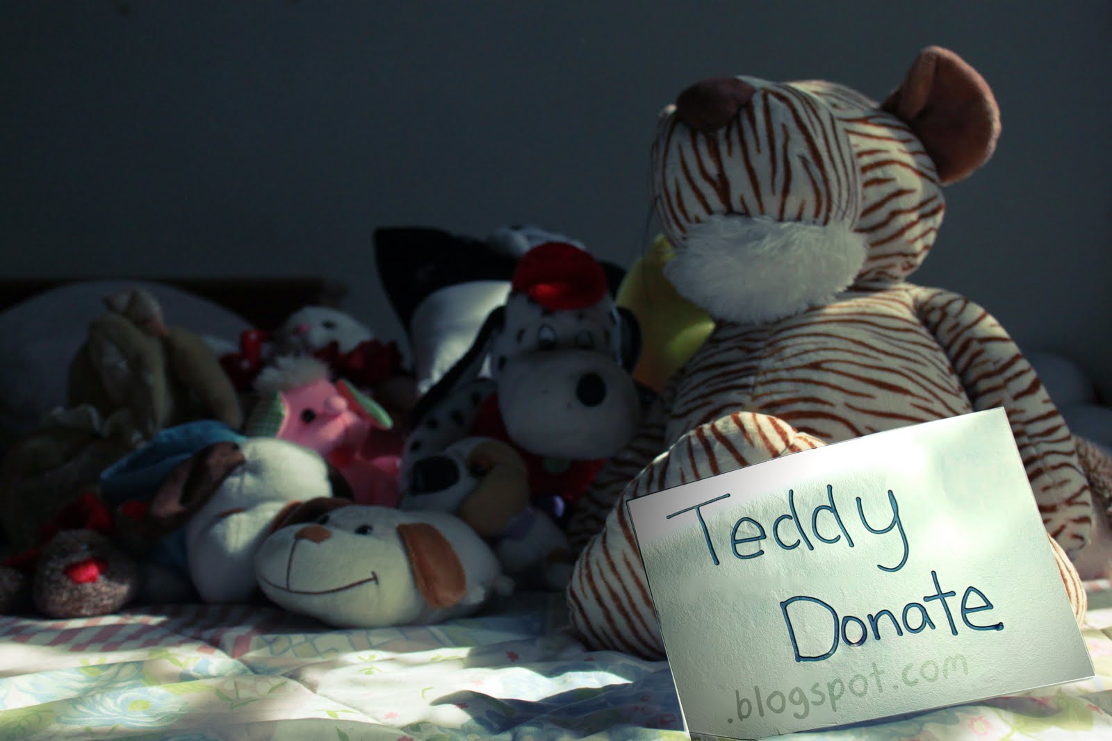 Every teddy counts towards charity !