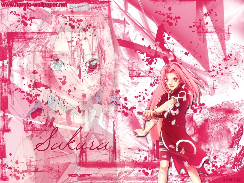 http://2.bp.blogspot.com/_fJ83w3-qECY/R-ZpWEU54mI/AAAAAAAAAkU/ZftpQ5WRO60/s1600/sakura%2Bharuno.jpg