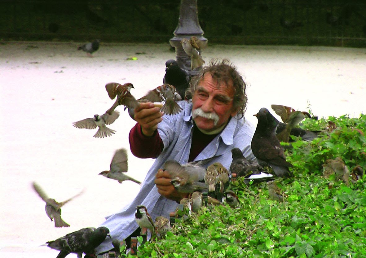 [convivencia_urbana.JPG]