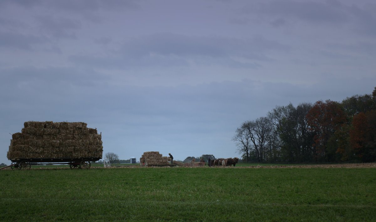[family+plows+6.jpg]