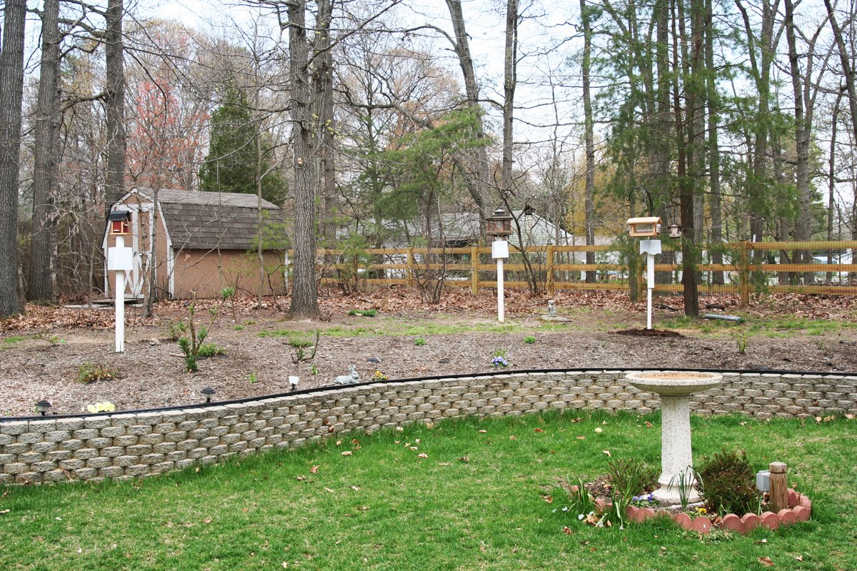 [southern-belle_1.jpg]