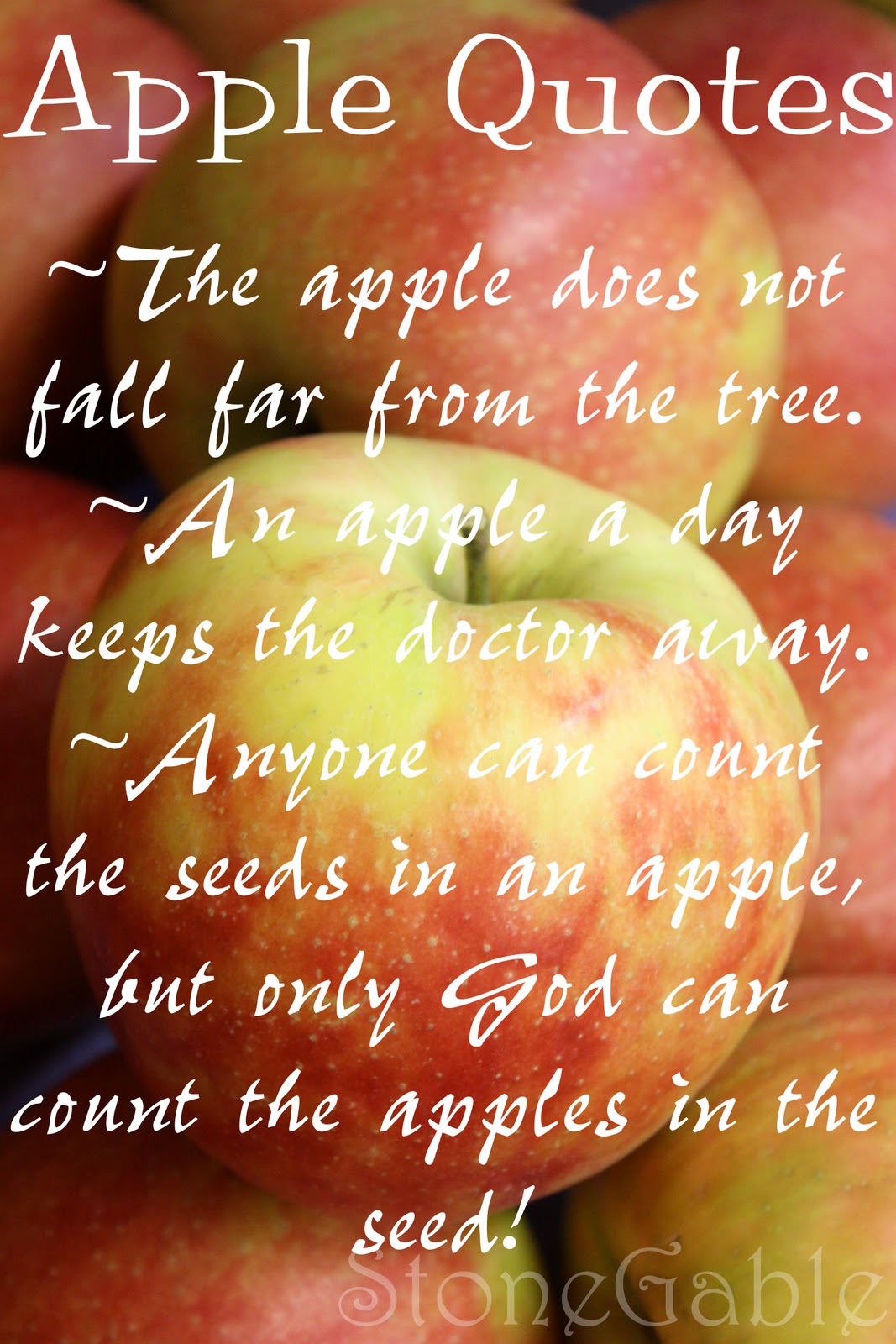 A is for Apple~ A Primer - StoneGable