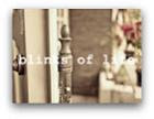blinks of life