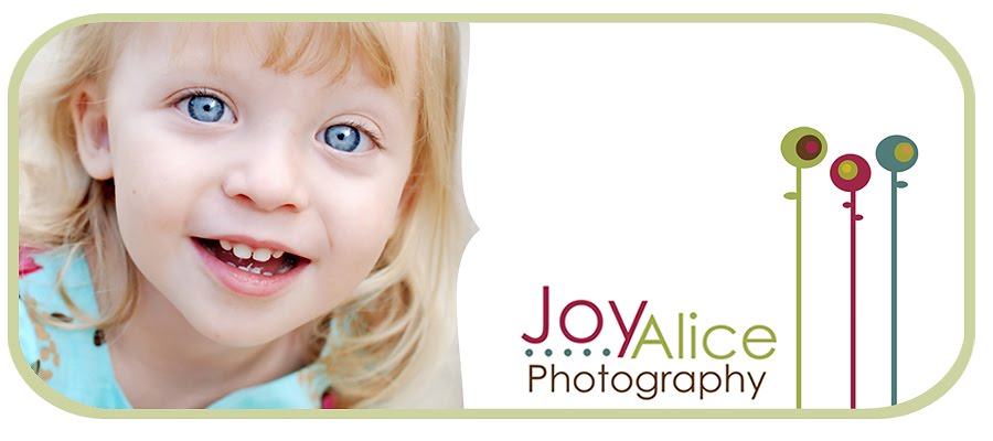 Joy Alice Photography- Bloomington, Indiana Photographer