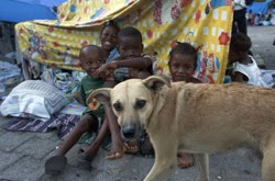 [Haiti_children_and_dog_WSPA.jpg]