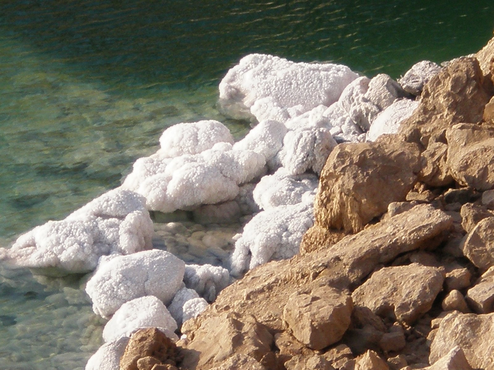 [01082008_255.JPG]