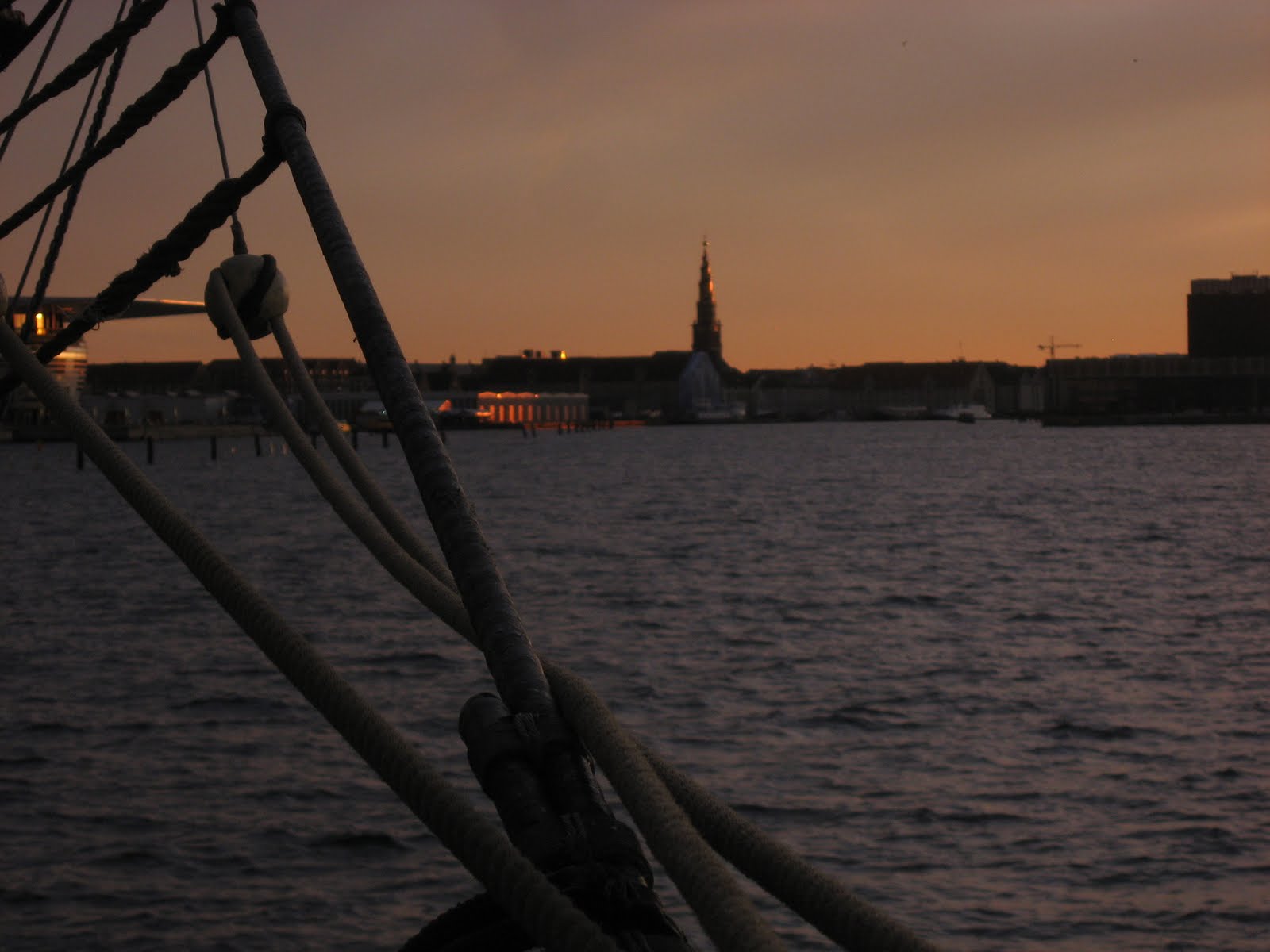 [IMG_9903.JPG]