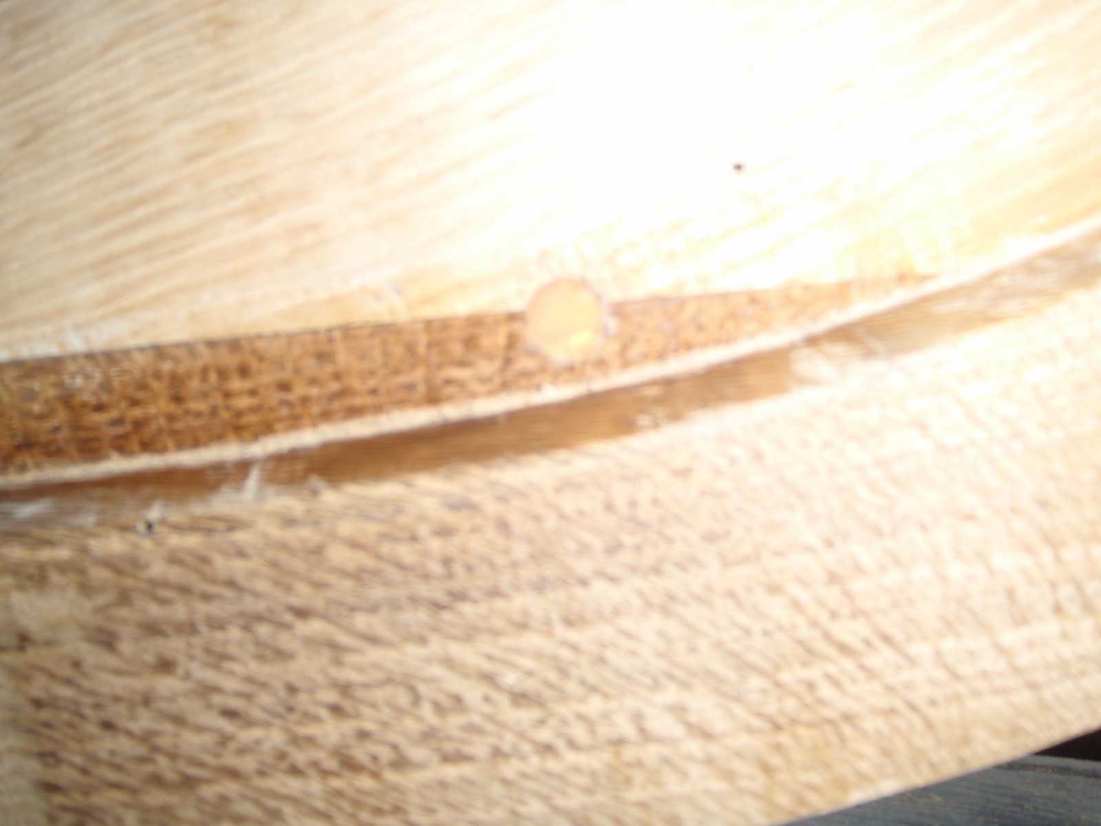 [PC131981.JPG]