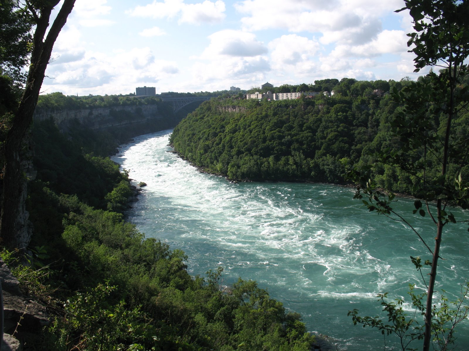 [IMG_2177.JPG]