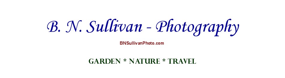 B N Sullivan Photography