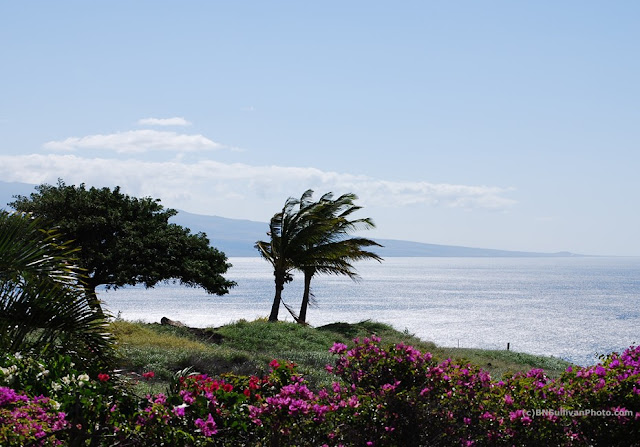 View of Kawaihae Bay, Hawaii