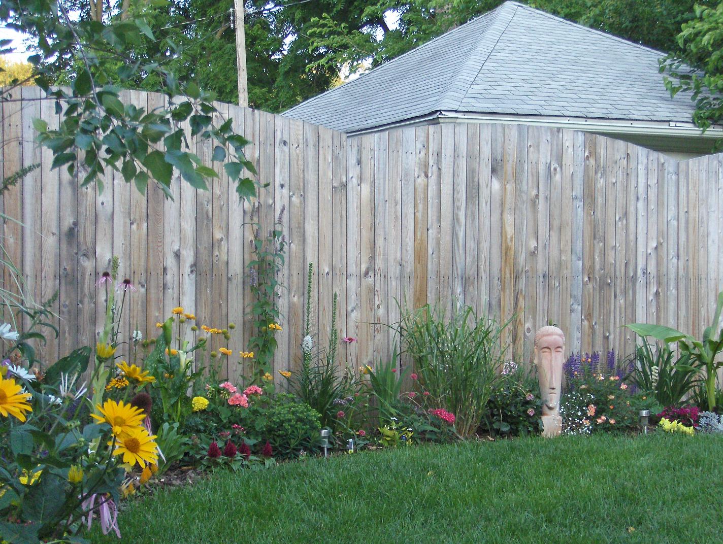 [2009gwbackyard4.JPG]