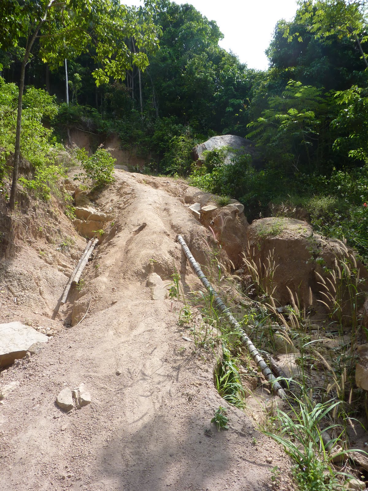 [P1000924.JPG]
