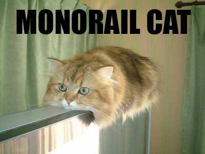 [MonorailCat2.jpg]