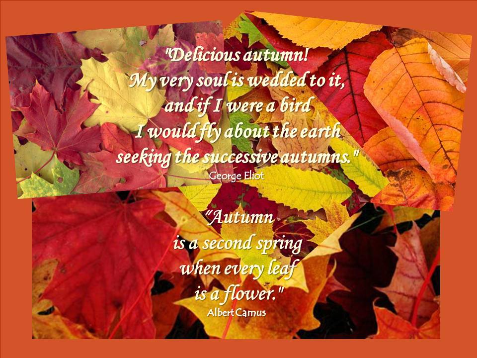 Cute Autumn Quotes And Sayings. QuotesGram