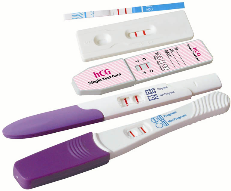 ... Show and revealed that First Response could detect hCG levels as low as ... ... Show and revealed that First Response could detect hCG levels as low as ...