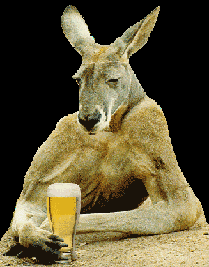 kangaroo jokes