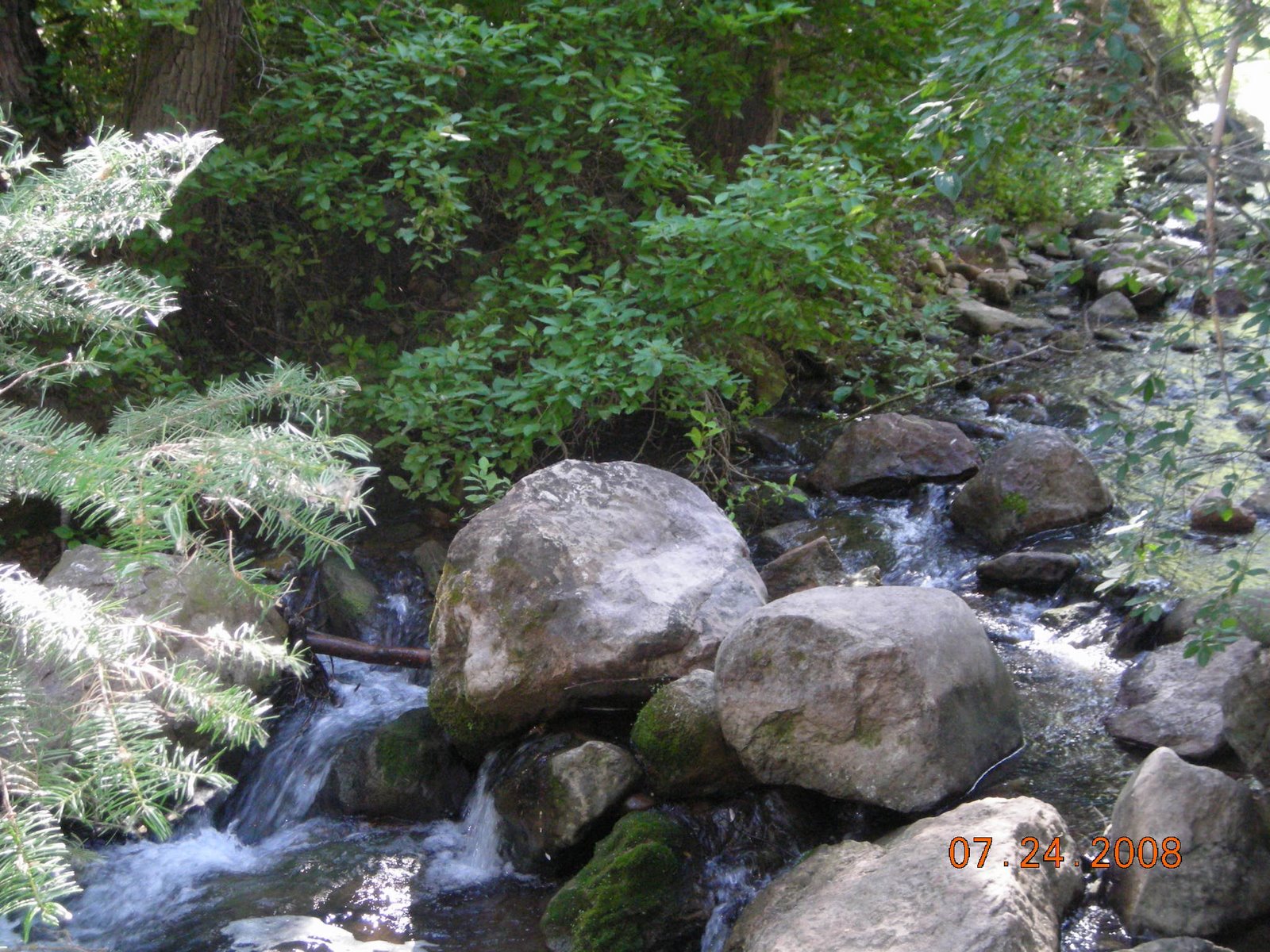 [DSCN0148.JPG]