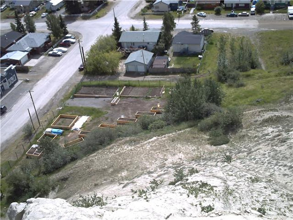 The Craig Family Garden