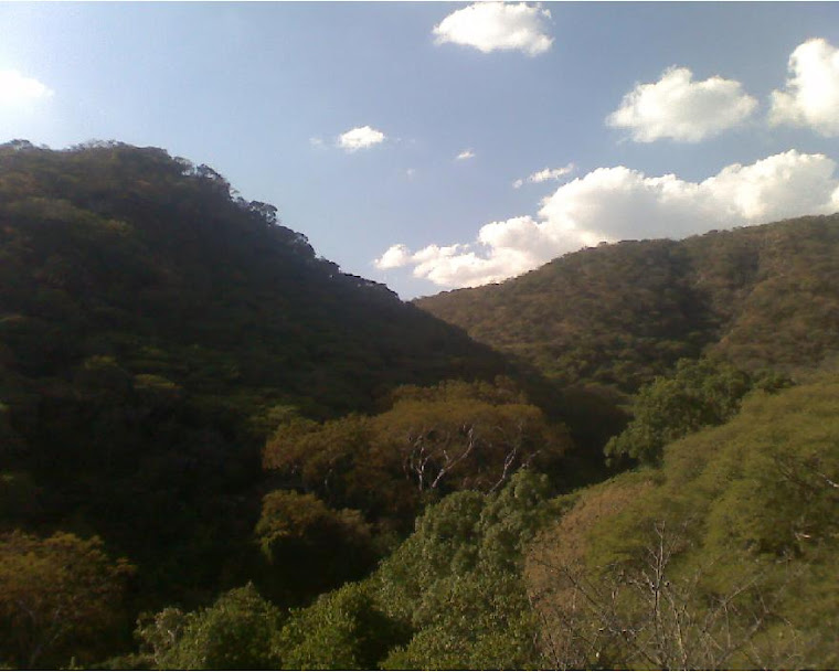 Conoce el Area Natural Protegida "Las Fuentes"