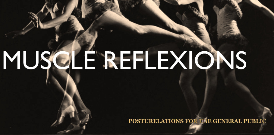 Muscle Reflexions