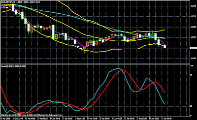 Forex murah