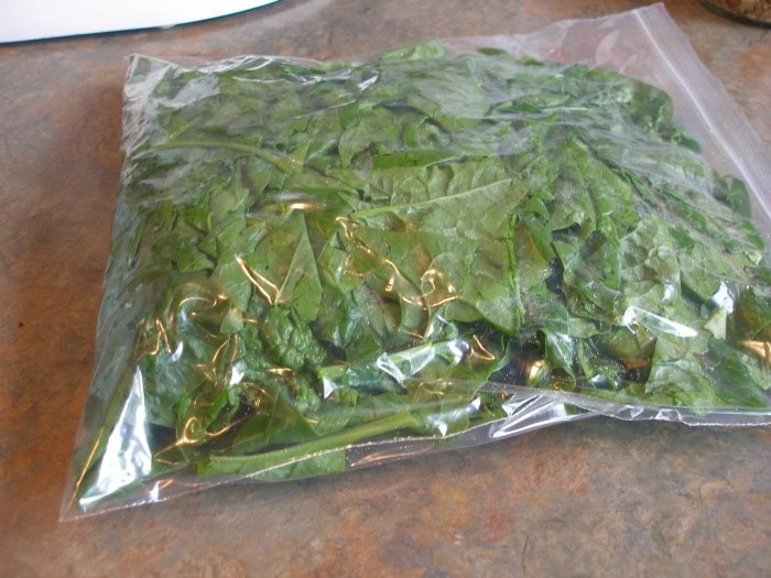 Thy Hand Hath Provided: Preserving: Freezing Spinach
