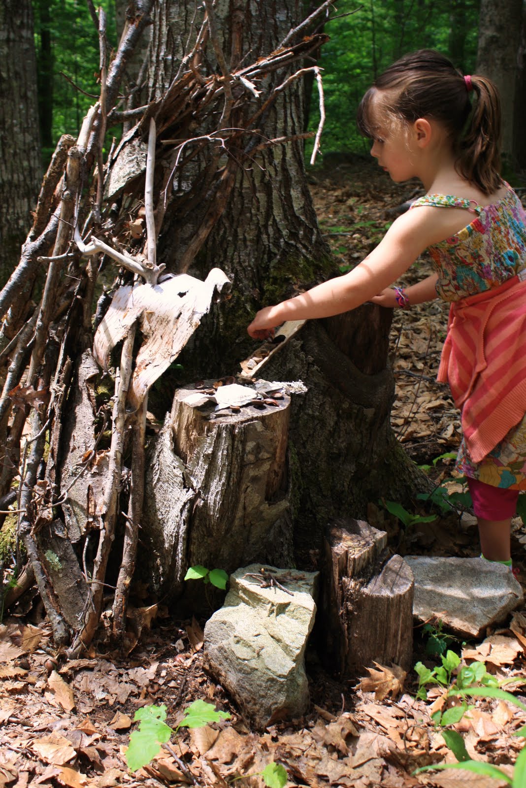 Heidi Boyd Fairy houses in the Maine woods