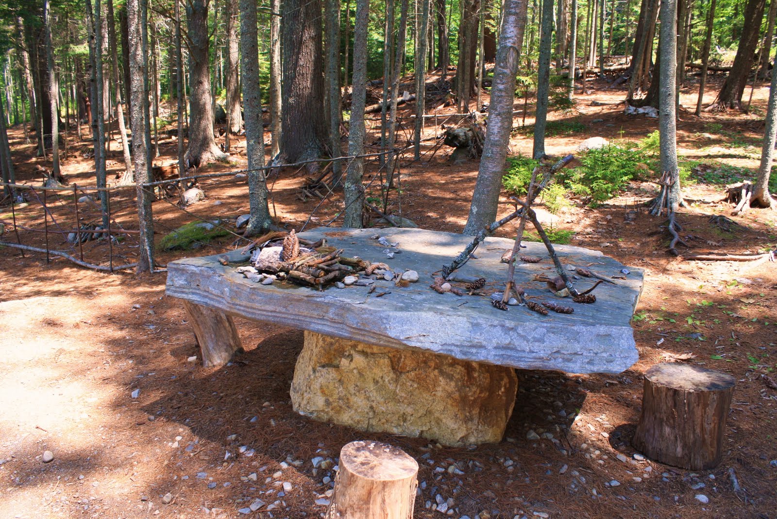 Heidi Boyd Fairy houses in the Maine woods