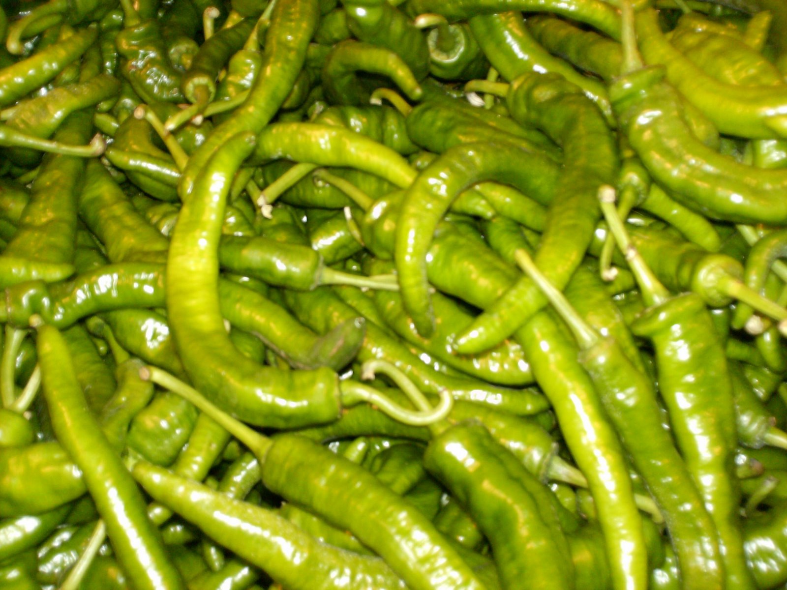 [HPIM0872.JPG]