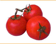 [tomatoes.jpg]